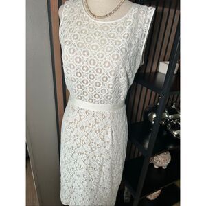 BCBGMAXAZRIA LACE ALICE SLEEVELESS SHIFT COCKTAIL DRESS VQI6Q437 SIZE 8